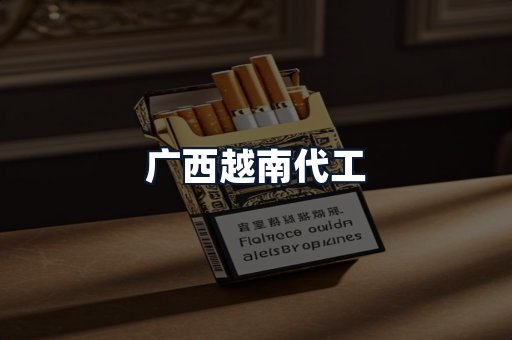 广西越南代工